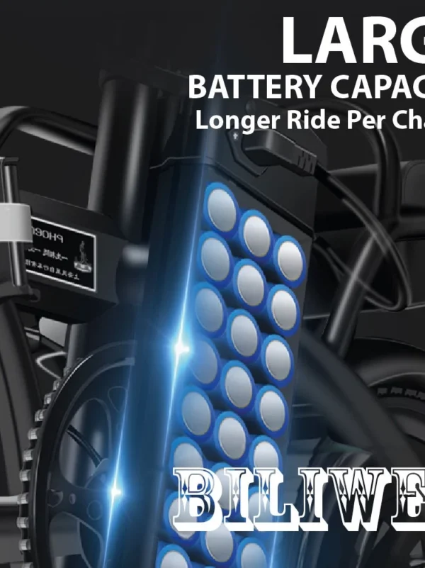 E Bike 400W 48V Lithium Battery Adults Bicycle Scooter
